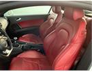 Cataldo Auto, concessionaria multimarca, Audi, Fiat, Seat, Jeep, Volkswagen e Alfa Romeo a Marina di Gioiosa