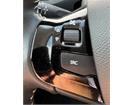 Cataldo Auto, concessionaria multimarca, Audi, Fiat, Seat, Jeep, Volkswagen e Alfa Romeo a Marina di Gioiosa