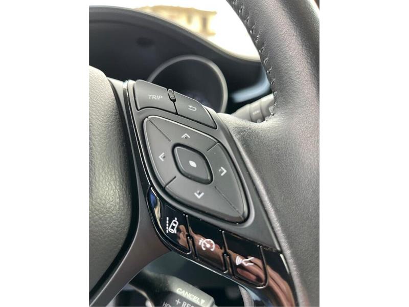 Cataldo Auto, concessionaria multimarca, Audi, Fiat, Seat, Jeep, Volkswagen e Alfa Romeo a Marina di Gioiosa